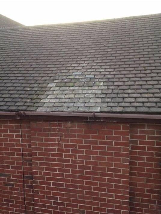new roof
