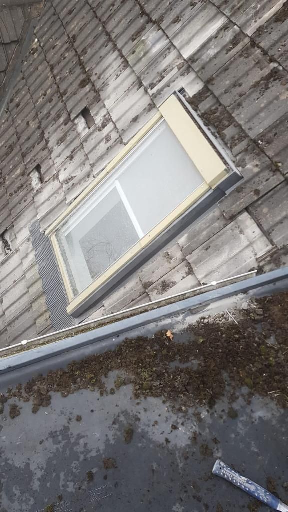 skylight