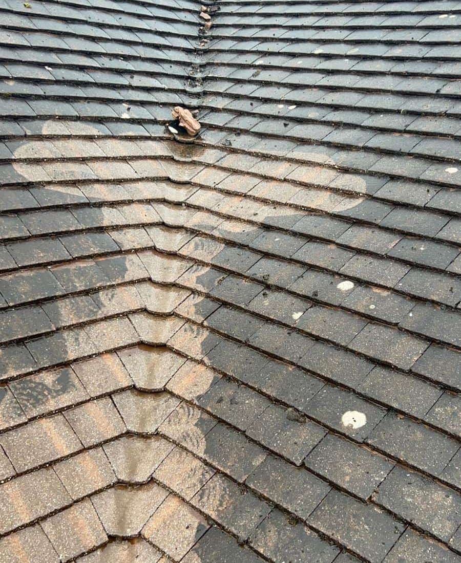 roof cleaning